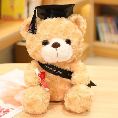 Dailygoods- Teddybeer Schattig Afstudeerdesign - Pluche Knuffelbeer - Hoogwaardig Materiaal - Huidvriendelijk - Perfect Cadeau - Afstuderen - Afstudeerbeer