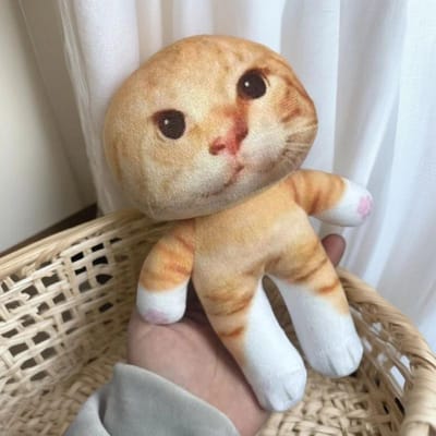 Jouets Peluches Chat Mignon 20cm Avec Squelette Kawaii Animal en Peluche Dessin Animé Cadeaux Enfants Décoration de Chambre Poupée Compagnon Apaisant Cadeau
