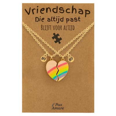 BFF Ketting voor 2 'Vriendschap die altijd past' - Magnetisch Regenboog Hartje - Vriendschapsketting op Cadeau Kaartje - 45cm + 5cm verstelbaar - Goudkleurig - Best Friends Hanger - Pax Amare
