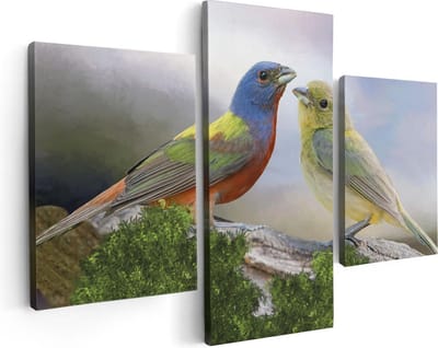 Artaza Canvas Schilderij Drieluik Getekende Gorzen Vogels - Kleur - Abstract - 90x60 - Foto Op Canvas - Canvas Print
