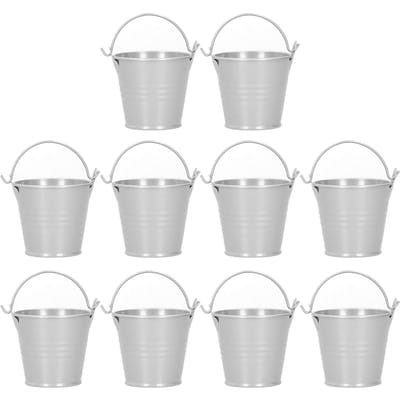 10 STKS Bloempot Mini Succulent Plantenpot Kleine Metalen Emmer voor Binnen Buiten DecorRoze 4x5.5x6cm
