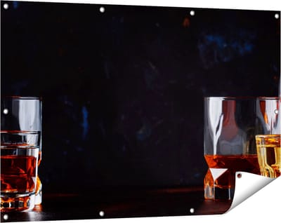 Gards Tuinposter Sterke Alcohol Drank - Glazen - 120x80 cm - Tuindoek - Tuindecoratie - Wanddecoratie buiten - Tuinschilderij