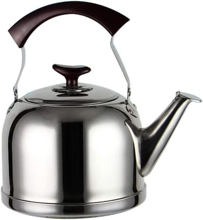 Waterkoker RVS - Theepot Fluitketel - Water Koken - Automatisch Kookgeluid - 5 Liter - Zilverkleurig