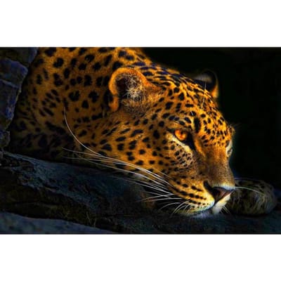 3D DIY diamant borduurwerk kruissteek  Proud Panther  Diamond schilderij woondecoratie 20X30CM brown
