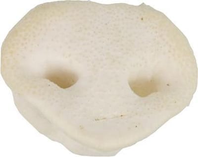 Petsnack varkensneuzen 25 stuks
