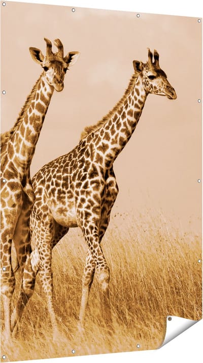 Gards Tuinposter Twee Giraffes in het Veld - 120x180 cm - Tuindoek - Tuindecoratie - Wanddecoratie buiten - Tuinschilderij