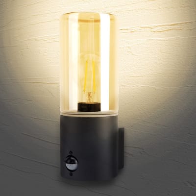 Integral wandlamp Winchester Donkergrijs IP54 voor 1x LED lamp | met sensor Buitenlamp | E27 | Max 20W LED