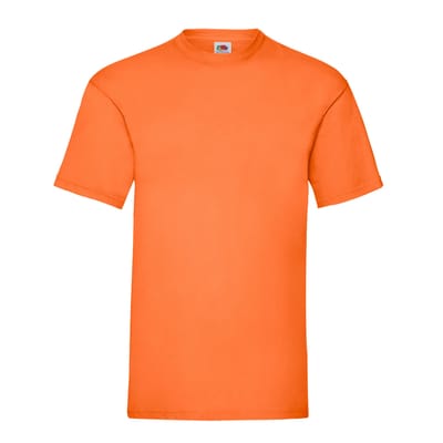 Fruit of the Loom Unisex Adult Waardevol T-Shirt (Oranje)