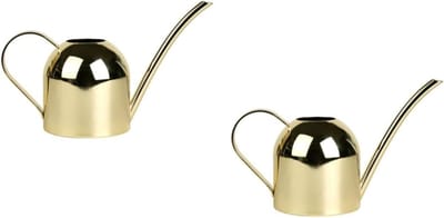 Gieter - Waterkoker Bloemengieter - Planten Water Geven - Roestvrij Staal - 500 ml - Goud