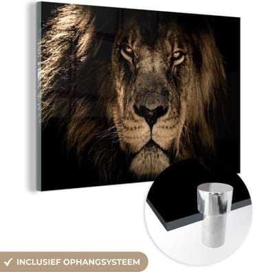 Glasschilderij leeuw - Dieren schilderij - Portret - Zwart - Schilderijen woonkamer - Foto op glas - Glasplaat - Kamer decoratie - 150x100 cm - Wanddecoratie - Muurdecoratie - Slaapkamer