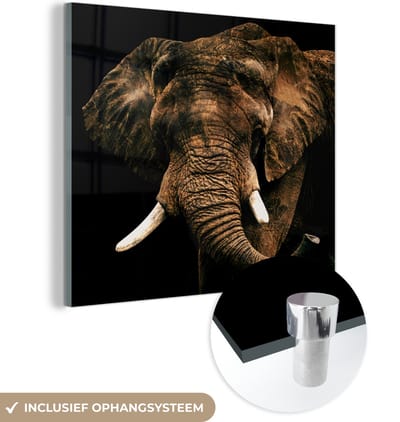 MuchoWow® Glasschilderij 50x50 cm - Schilderij acrylglas - Olifant - Bruin - Tanden - Foto op glas - Schilderijen