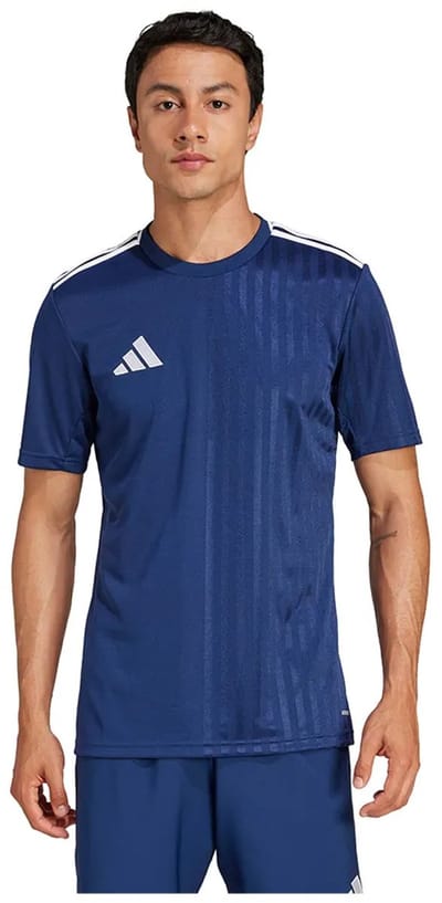 Adidas Campeon 25 T-shirt Met Korte Mouwen Blauw M / Regular Man