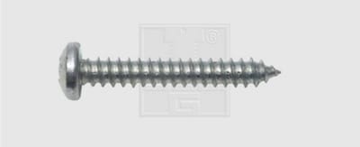 SWG Plaatschroeven 2.9 mm 13 mm Kruiskop Phillips DIN 7981 Staal Verzinkt 100 stuk(s)