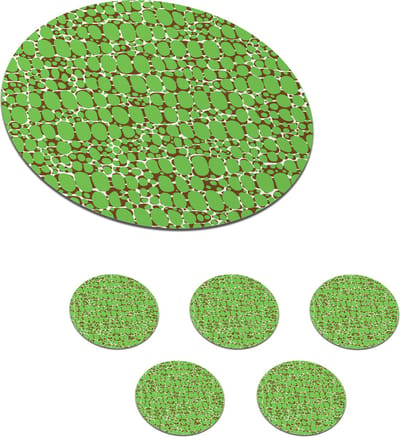 Onderzetters voor glazen - Rond - Krokodil - Structuur - Patronen - Groen - 10x10 cm - Glasonderzetters - 6 stuks