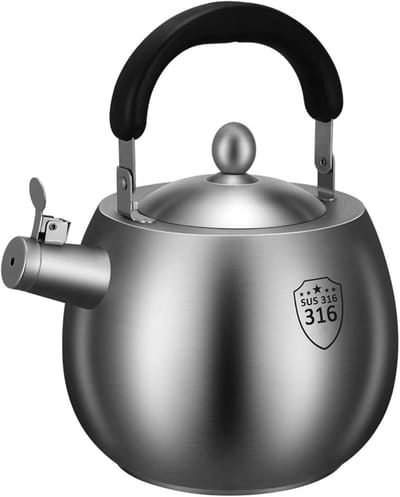 Theeketel Roestvrijstaal - Waterkoker Fluitend - Water Koken - Ergonomisch Handvat - 42 Liter - Zilver