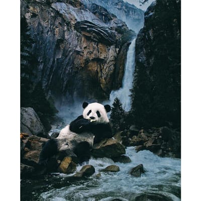 DIY 5D volledige set diamantschilderij kruissteekset dier Panda diamant borduurwerk 20X30CM gray