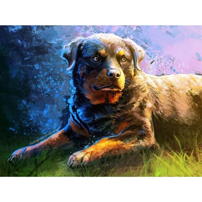 5D Doe-het-zelf Diamantschilderij Gekleurde Hond Borduurwerk Mozaïek Kruissteek Strass Decoratie 20X30CM gray