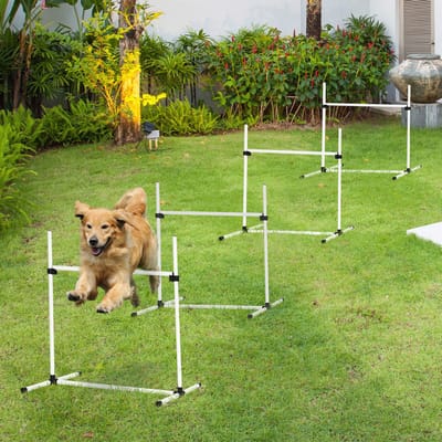 HAUSS SPOLE Agility Hordeset – Verstelbare Hoogte – 99 x 65 x 94 cm – Kunststof – Wit – Hondentraining Met Slalompalen En Draagtas