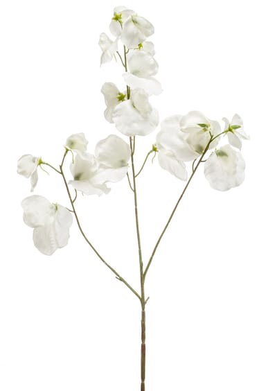Emerald - Kunstbloem Pronkerwt 75cm crème - Kunstplant voor binnen