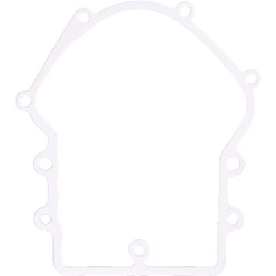 Briggs & stratton carterpakking
