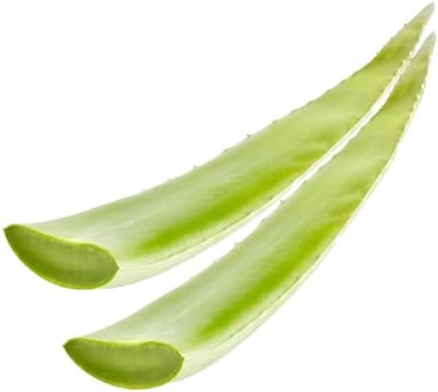 2x Aloe Vera Blad Vers & Natuurlijk, Biologisch – Voor Sap, Gel, Gezicht, Haar & Lichaam | Rijk aan Vitaminen, Mineralen & Enzymen met Kajal Sticker