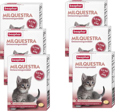 Beaphar Milquestra Kitten - Anti wormenmiddel - 6 x 2 tab 0.5 Tot 4 Kg
