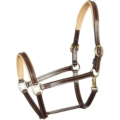 Lederen halster voor paarden Harry's Horse Elegance