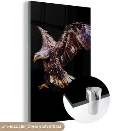 MuchoWow® Glasschilderij 120x180 cm - Schilderij acrylglas - Adelaar - Vogel - Veren - Foto op glas - Schilderijen