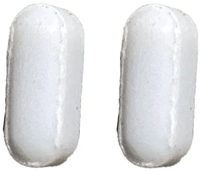 Colombo Stirrer Replacement Magnet 2X