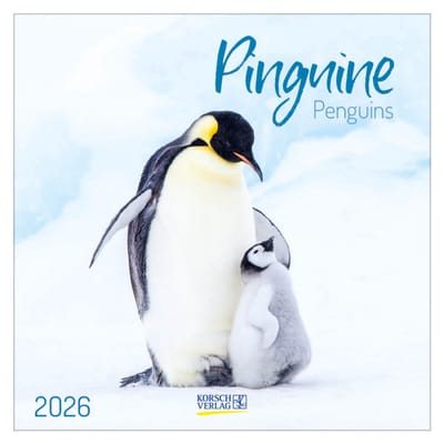 Pinguins - 2026