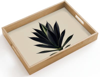 Dienblad hout 40x30 cm - Schootdienblad - Agaveplant - Symmetrisch - Groen - Borrelplank rechthoek - Plateau dienbladen