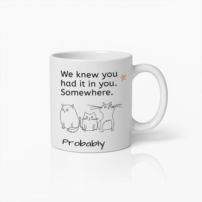 330ml Motivational Cat Mug – 'We Wisten Dat Je Het In Je Had' – Perfect voor Koffieliefhebbers