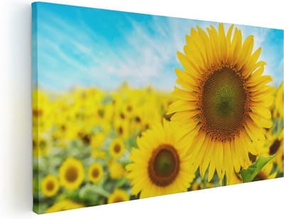 Artaza Canvas Schilderij Zonnebloem - 40x20 cm - Klein - Wanddecoratie Bloemenveld - Muurdecoratie Woonkamer - Decoratie Natuur
