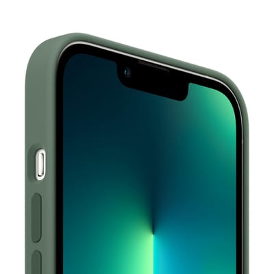 Silicone Backcover MagSafe voor de Apple iPhone 13 Pro Max - Eucalyptus