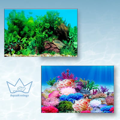 AquaKonings Aquarium Poster – Waterdicht - Decoratie Vis Poster - Aquarium Decoratie - Aquarium Wand - 200x50 cm - R