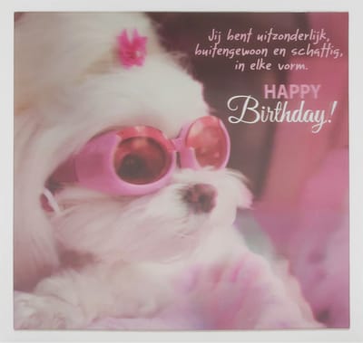 Depesche - 3D wenskaart met hondje en de tekst "... Happy Birthday" - 012