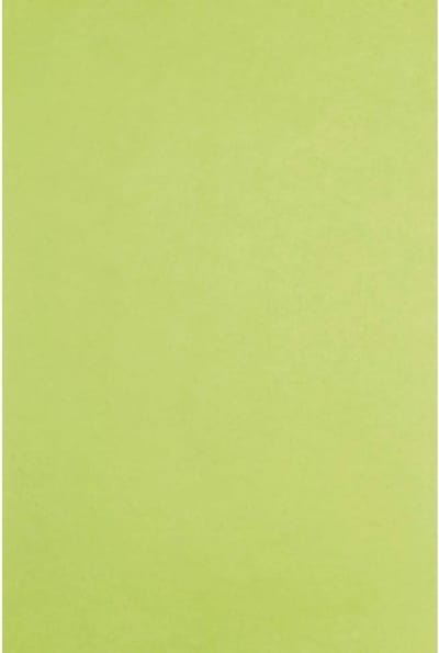 Zijdepapier Wit 480 Vellen Groot Formaat 50x75cm voor Decoratie en Knutselen
