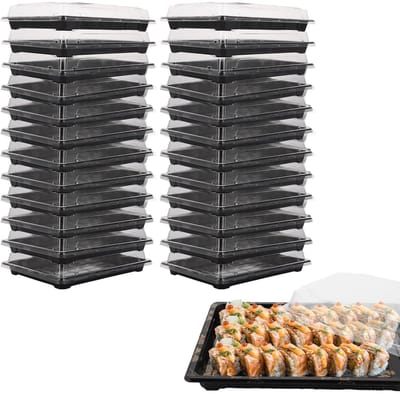 Dailygoods- Serveerschaal met Deksel - 25 Stuks - Herbruikbare Voedselbox - Kunststof - Waterdicht - Transparant Deksel - Duurzaam PET-Materiaal - Maaltijdbox