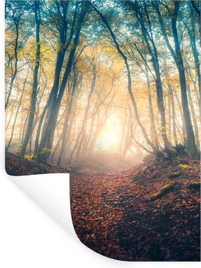 Muurstickers - Sticker Folie - Bos - Mist - Zon - Herfst - 30x40 cm - Plakfolie - Muurstickers Kinderkamer - Zelfklevend Behang - Zelfklevend behangpapier - Stickerfolie