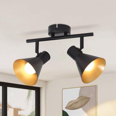NETTLIFE Opbouwspot - 2-lichts - E14 Fitting - zwart goud - met creatief ontwerp - 330° draaibar Plafondspot - Vintage Keukenlamp - Metaal - voor Slaapkamer | Hal | Woonkamer - Zonder Lichtborn - L 28cm