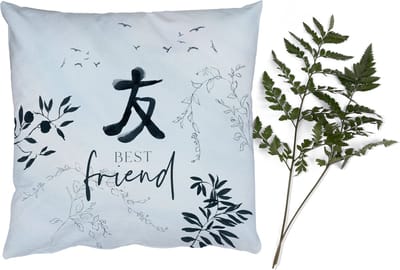 Sierkussens - Kussentjes Woonkamer - 50x50 cm - Best friend - Beste vrienden - Quotes - Spreuken