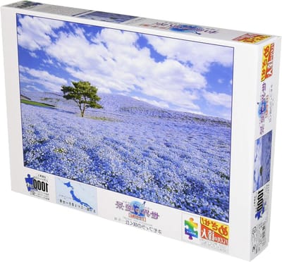 Legpuzzel - Puzzel 1000 stukjes - Ontspanning thuis - Gedetailleerd landschap - 75x75 cm - Meerdere kleuren