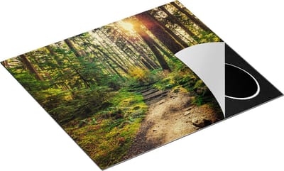 Chefcare Inductie Beschermer Voetpad in het Bos - 60x50 cm - Afdekplaat Inductie - Kookplaat Beschermer - Inductie Mat