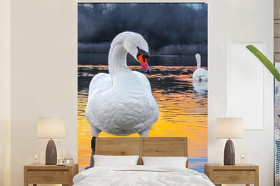 Behang - Fotobehang Zwaan - Vogel - Zonsondergang - Water - Breedte 200 cm x hoogte 300 cm