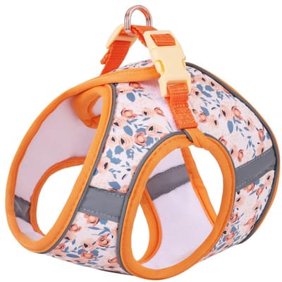 Honden Verstelbaar Tuigje Leash Set Voor Kleine Honden Tuigje Vest Reflecterend Puppy Borstband Huisdier Wandelen Buiten Puppy Leash (as the picture,M)