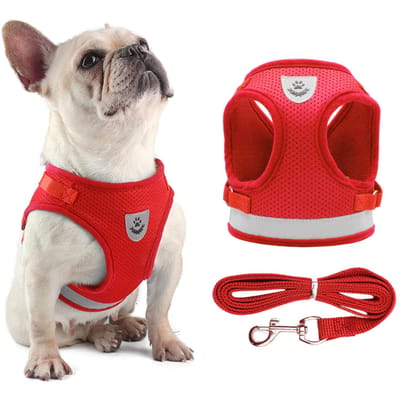Hondenharnas en riemset Reflecterend verstelbaar mesh-vest voor kleine honden Puppy's Katten Medium rood