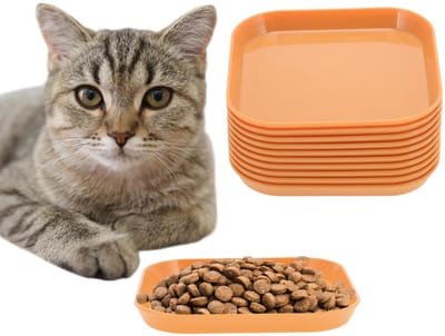 Dailygoods- Kattenschaal 10 stuks - Platte Kattenvoerbak - Eetbak/Kattenbord - Vierkante Voerbak - Milieuvriendelijk PP-Materiaal - Veilig voor Kittens
