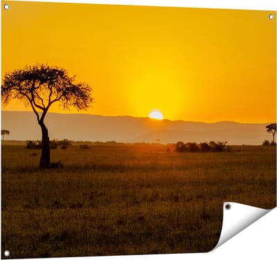 Gards Tuinposter Zonsopgang in de Savanne met een Boom - 100x80 cm - Tuindoek - Tuindecoratie - Wanddecoratie buiten - Tuinschilderij
