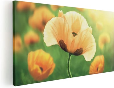 Artaza Canvas Schilderij Klaproos - 40x20 cm - Klein - Wanddecoratie Bloemen - Muurdecoratie Woonkamer - Schilderijen Op Canvas