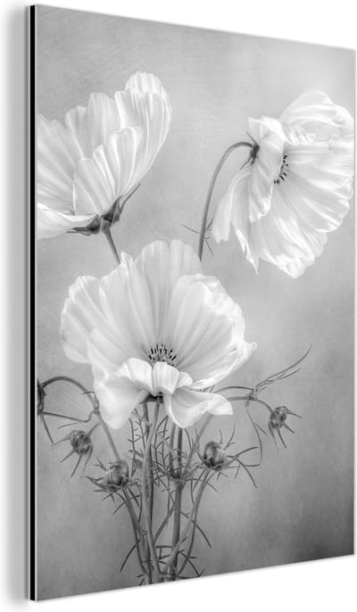 Aluminium schilderij 60x80 cm - Wanddecoratie metaal - Stilleven - Bloemen - Zwart wit - Klaproos - Botanisch - Metalen muurdecoratie woonkamer - Decoratie industrieel - Foto op dibond - Industriële accessoires slaapkamer